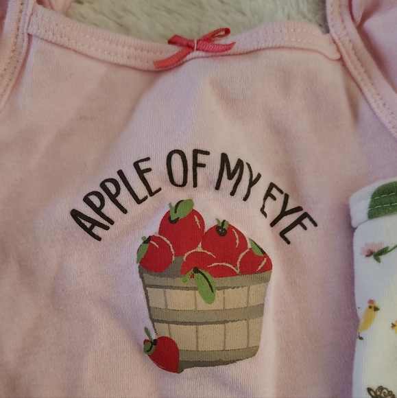 Hudson Baby Romper Onesies 2-Pack, Farm Theme, 24 Month - Picture 2 of 5